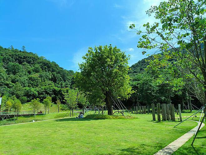 《四不像神秘亮相湖北——探秘神秘生物，守护生态多样性》